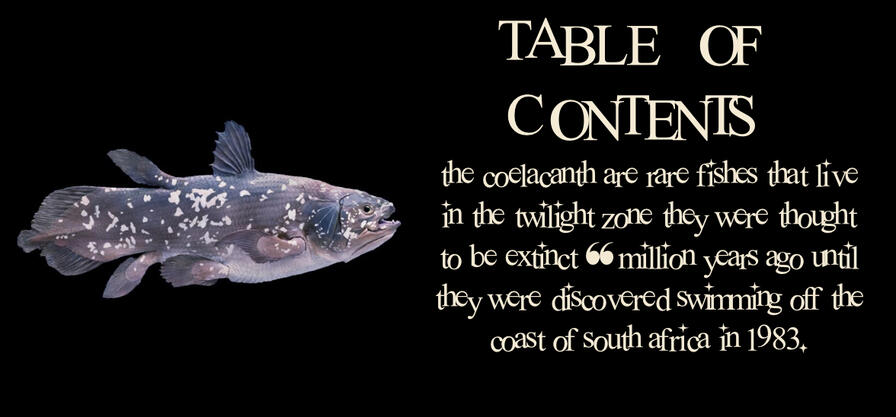 “the coelacanth are rare fishes that live in the twilight zone. they were thought to be extinct 66 million years ago until they were discovered swimming off the coast of south africa in 1983.”
